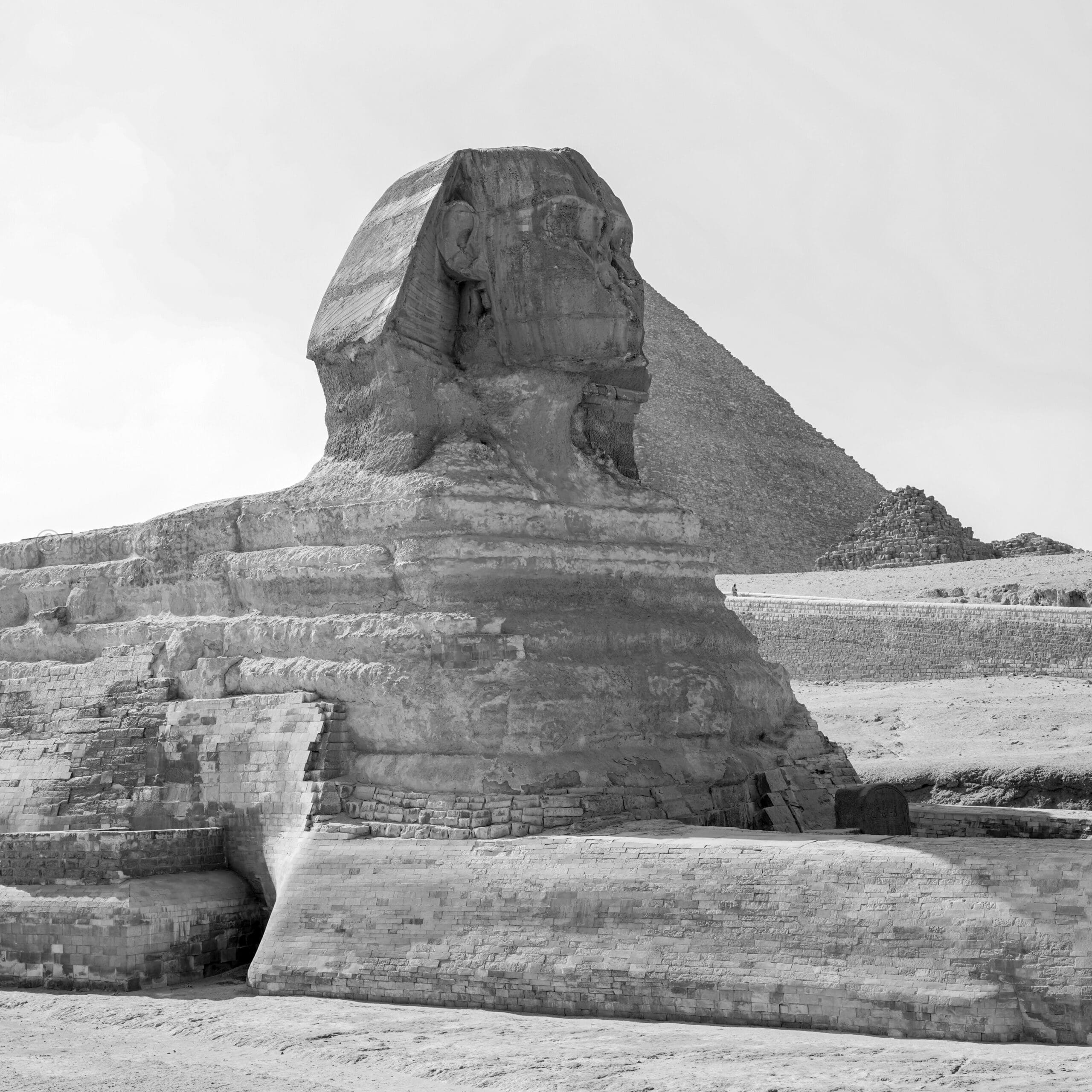 Sphynx in Cairo Sphynx