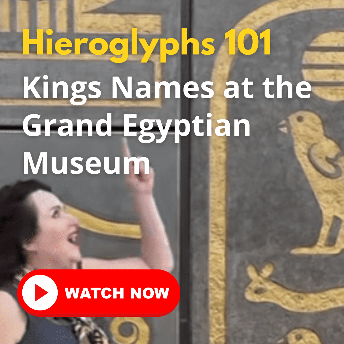 Names of Hiroglephs 101 Kings in the Grand Egyptian Museum