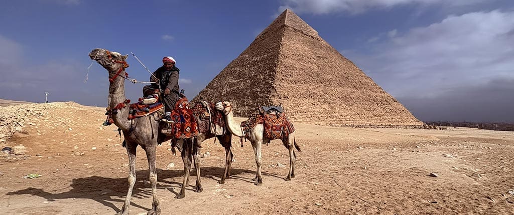Pyramid and camels